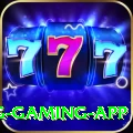 bingo King Gaming App