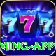 bingo King Gaming App